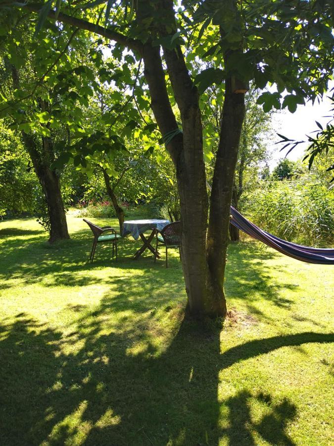 Ouddorp Vakantiehuisje المظهر الخارجي الصورة