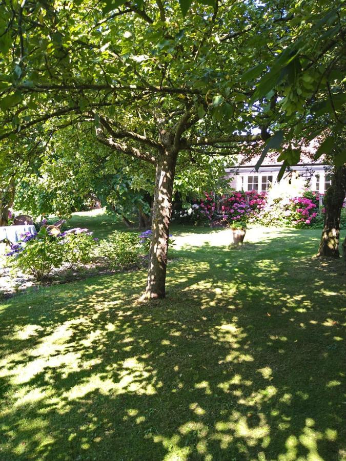 Ouddorp Vakantiehuisje المظهر الخارجي الصورة