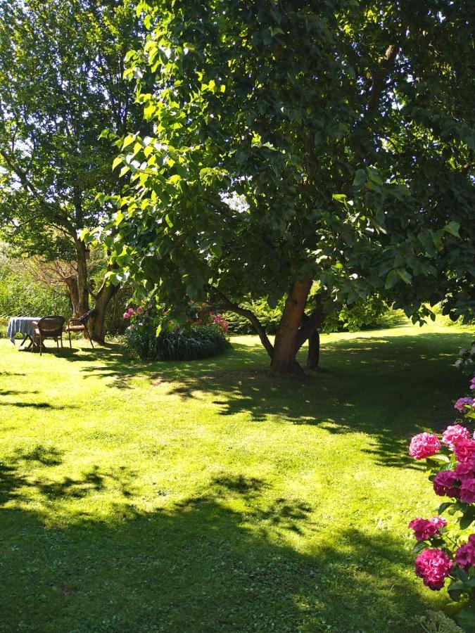 Ouddorp Vakantiehuisje المظهر الخارجي الصورة