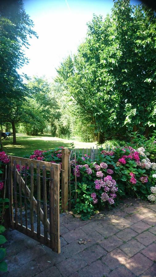 Ouddorp Vakantiehuisje المظهر الخارجي الصورة