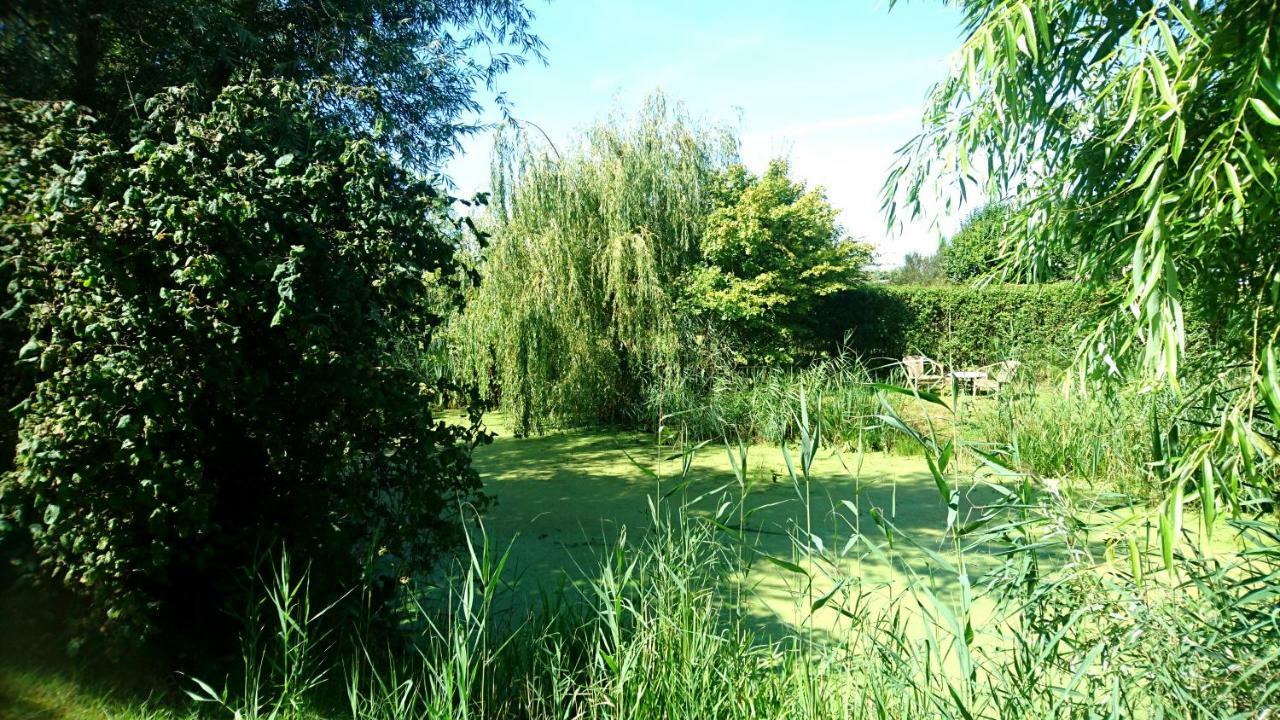 Ouddorp Vakantiehuisje المظهر الخارجي الصورة